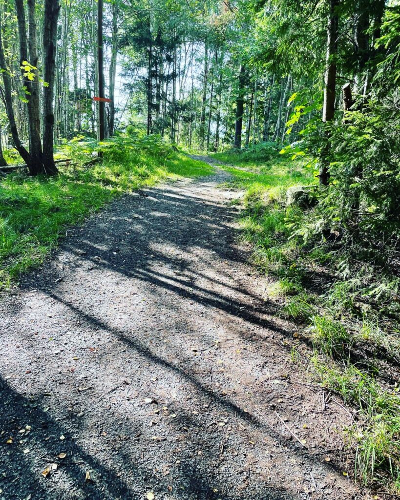 Naturstig i skogen omgiven av gröna träd – perfekt för återhämtning och rörelse.